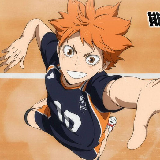 SHOYO HINATA