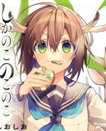 NOKO SHIKANOKO