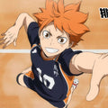 Shoyo Hinata